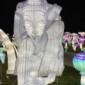 Meet your Posher, Priscilla